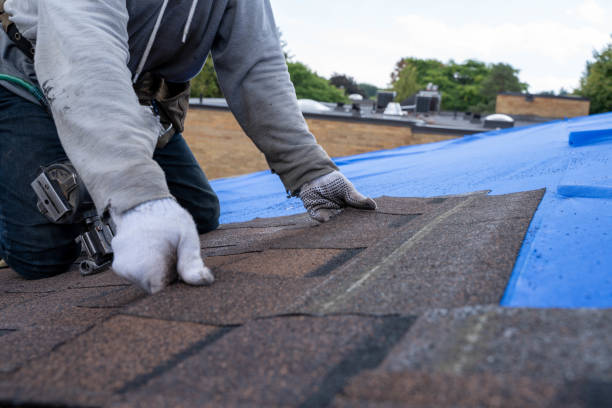 Best Metal Roofing Contractor  in Falling Water, TN